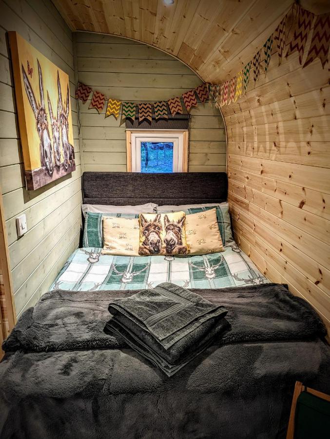 Emlyn'S Coppice - Luxury Woodland Glamping Holywell (Flintshire) Exterior foto